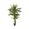 Areca palm 235 cm